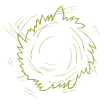 Garden Waste Removal after Garden Maintenance West Auckland