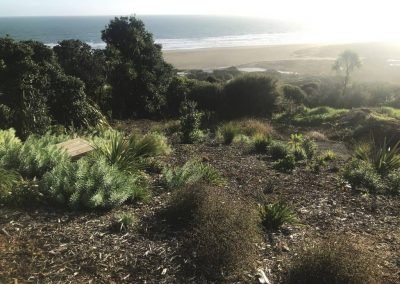 auckland landscape designer