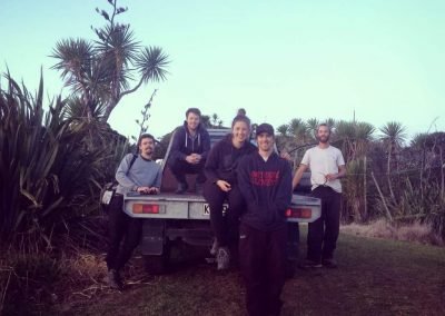 auckland landscape supplies