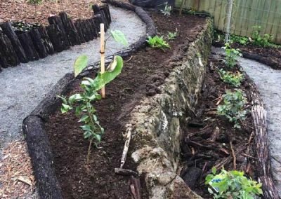 auckland-landscaping-&-gardening