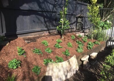 auckland naturescapes landscape services