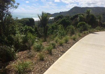 best landscapers in auckland