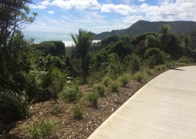 best landscapers in new zealand
