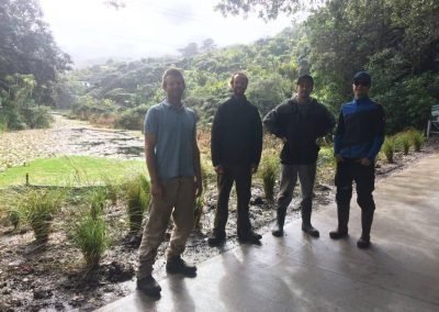 best landscapers nz
