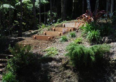 cheap gardening services auckland