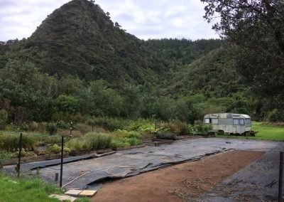 city council noxious weeds in nz