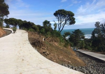 council noxious weeds nz