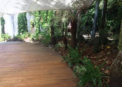 best plants for auckland