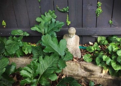 garden designer West Auckland