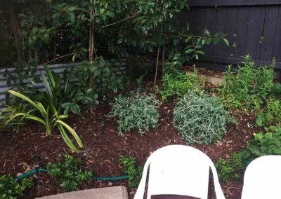 garden designer kumeu