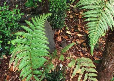 curtling nz