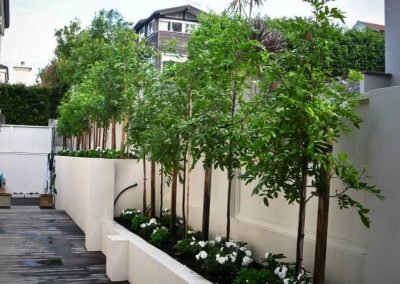 design garden landscape