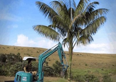 garden-cleaning-services-Mount Albert
