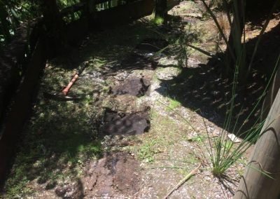 garden design auckland
