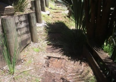 garden design auckland nz