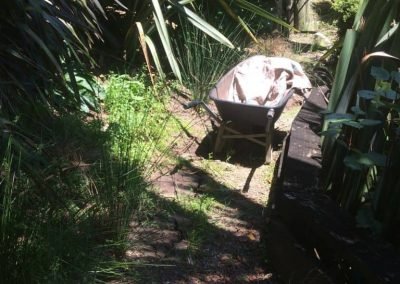 garden design nz