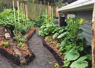 garden-designers-in-auckland