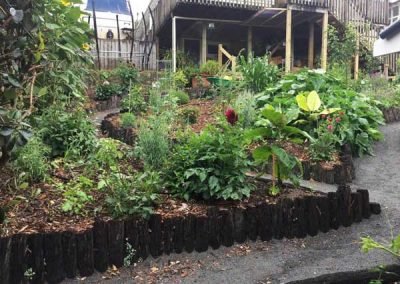 garden-designers-in-new-zealand