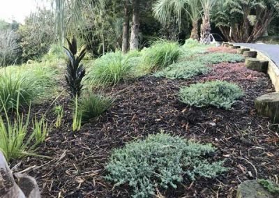 garden-maintenance-in-nz