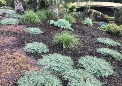 garden-maintenance-new-zealand