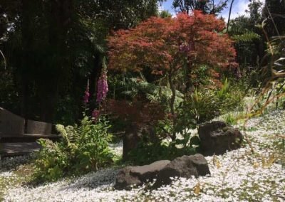 Garden maintenance by our west auckland gardeners