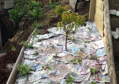 gardening and maintenance