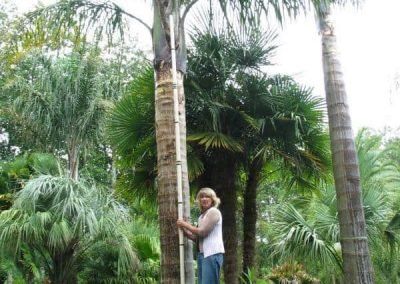 gardening-and-yard-maintenance-nz Oratia