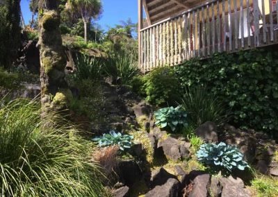 gardening services north shore auckland