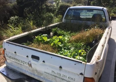 gardening services west new zealand