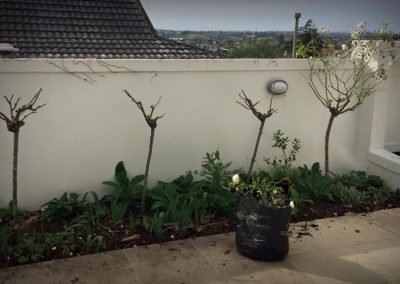 kerb stone price in nz