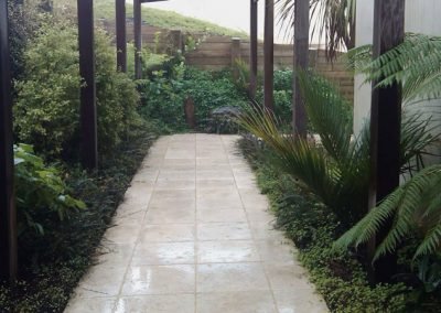 A West Auckland garden with clean and tidy gardens after a good clean up on garden maintenance day