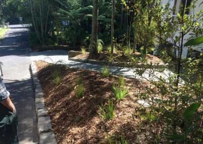 landscape-design-auckland