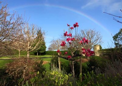 A well maintained garden after a day of garden maintenance in west auckland