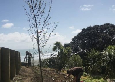landscape designer in nz