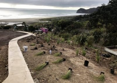 landscape designer near me