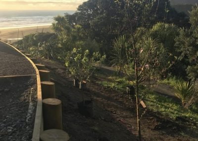 landscape designer nz in new zealand