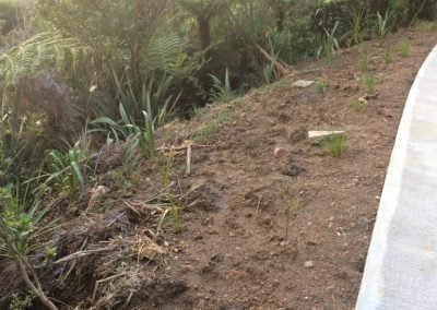 landscape supplies in auckland