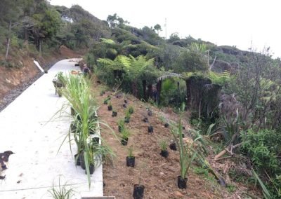 landscape supplies in nz