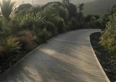 Our native revegetation plantings looking great after a day of our gardening services in West Auckland