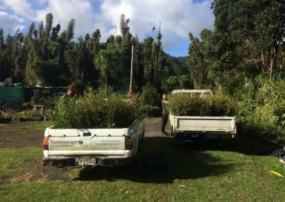landscape supplies new zealand