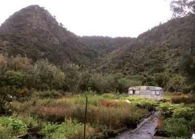 landscape supplies nz