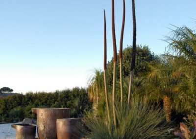 A regular garden service and maintenance visit keeps this garden looking great