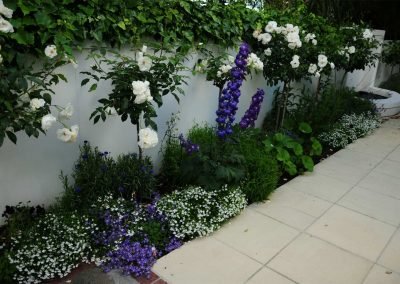 A well maintained garden after a day of garden maintenance in west auckland
