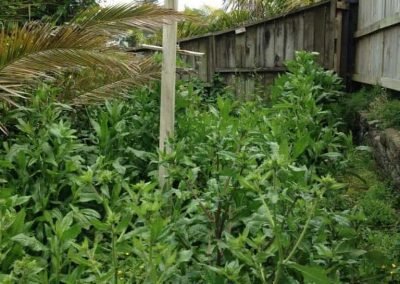 landscaper north shore