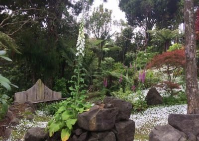landscaping commercial
