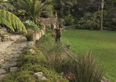 landscaping-ideas-auckland