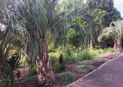 landscaping-ideas-in-new-zealand