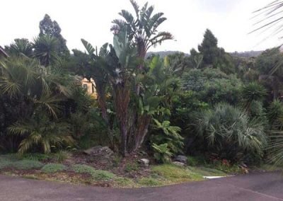 landscaping-ideas-in-nz