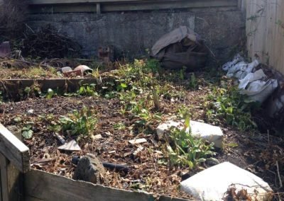 landscaping ideas new zealand