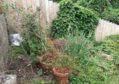 landscaping installation companies